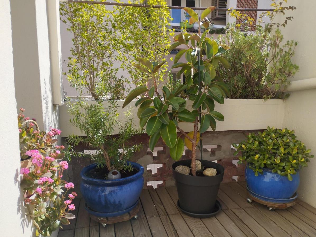 Bel Appartement Privatif 佩皮尼昂 外观 照片